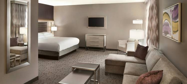 夏洛特上城希尔顿安泊酒店(Embassy Suites by Hilton Charlotte Uptown)图片