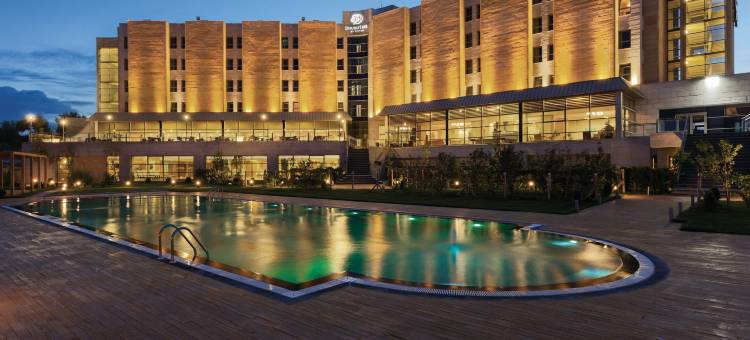 希尔顿逸林酒店-阿瓦诺斯-卡帕多西亚(DoubleTree by Hilton Avanos - Cappadocia)图片