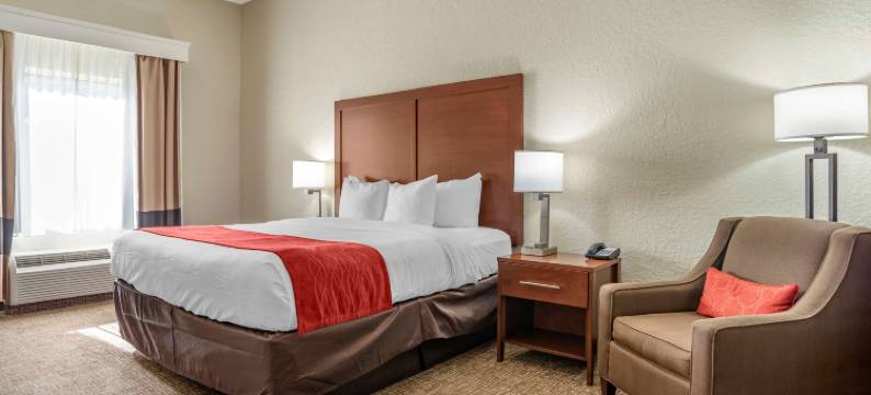 玛里亚纳 I-10 舒适套房酒店(Comfort Inn & Suites Marianna I-10)图片