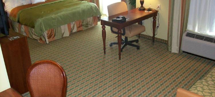 Homewood Suites by Hilton-奥卡拉(Homewood Suites by Hilton Ocala at Heath Brook)图片