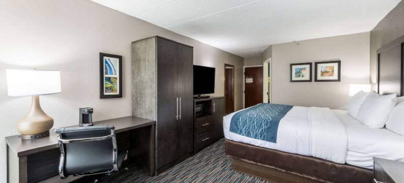 芝加哥绍姆堡舒适酒店 - 奥黑尔机场(Comfort Inn Chicago Schaumburg - O'Hare Airport)图片