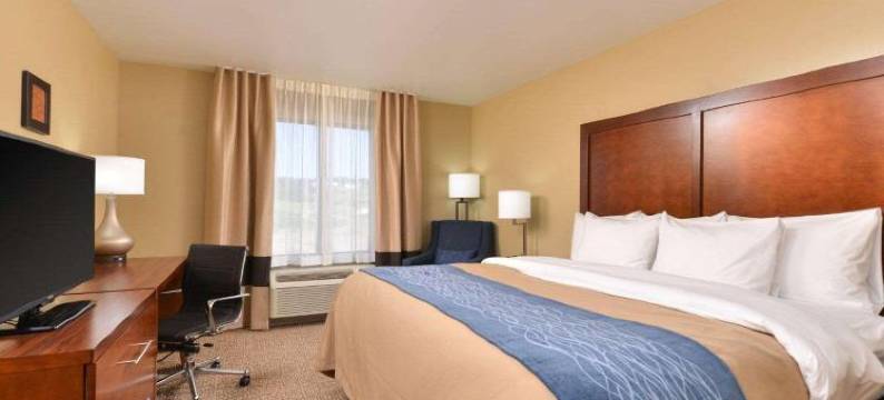 曼丹舒适套房酒店 - 俾斯麦(Comfort Inn & Suites Mandan - Bismarck)图片