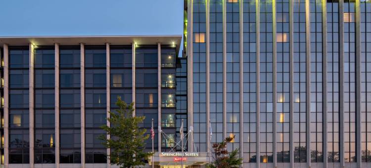 芝加哥奥黑尔万豪SpringHill套房酒店(SpringHill Suites Chicago O'Hare)图片