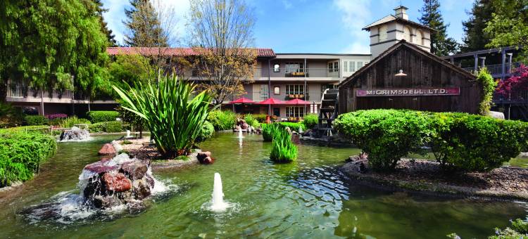 纳帕谷安泊套房酒店(Embassy Suites by Hilton Napa Valley)图片