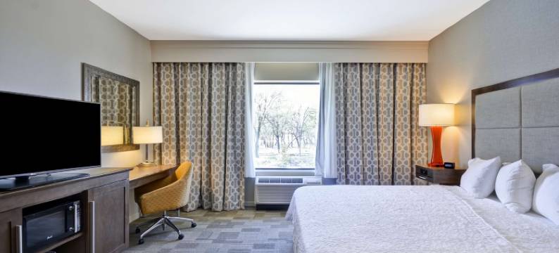 达拉斯-普莱诺东欢朋套房酒店(Hampton Inn & Suites Dallas/Plano-East)图片