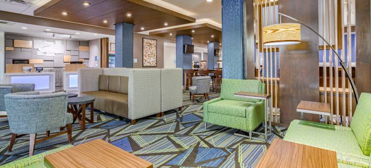 埃尔克哈特北智选假日套房酒店(Holiday Inn Express & Suites Elkhart North)图片