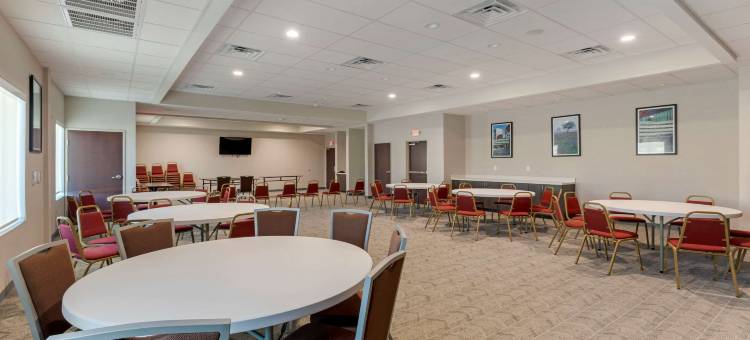 舒适酒店及套房巴尔奇斯普林斯 - 达拉斯东南(Comfort Inn & Suites Balch Springs - SE Dallas)图片