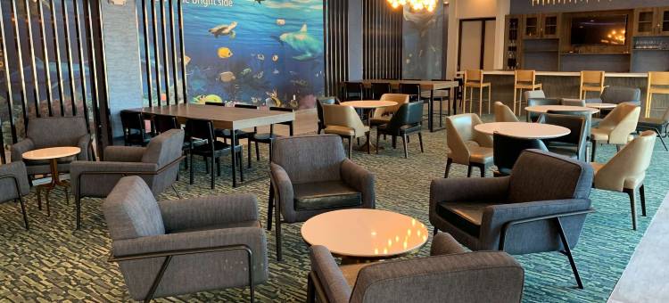 加尔维斯顿北部I-45拉昆塔温德姆酒店及套房(La Quinta Inn & Suites by Wyndham Galveston North at I-45)图片
