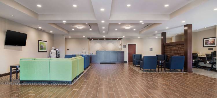 舒适套房酒店(Comfort Inn & Suites)图片