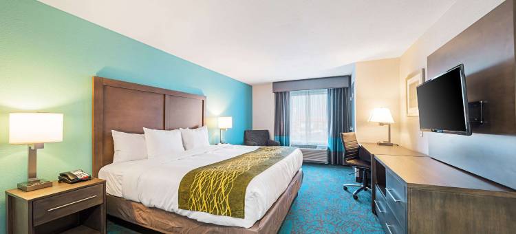 俄克拉何马城布里克敦附近舒适套房酒店(Comfort Inn & Suites Oklahoma City Near Bricktown)图片