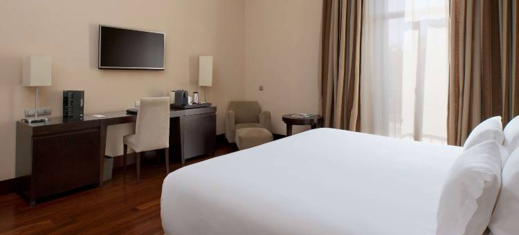 帕拉西奥亚兰珠斯NH精选酒店(NH Collection Palacio Aranjuez)图片