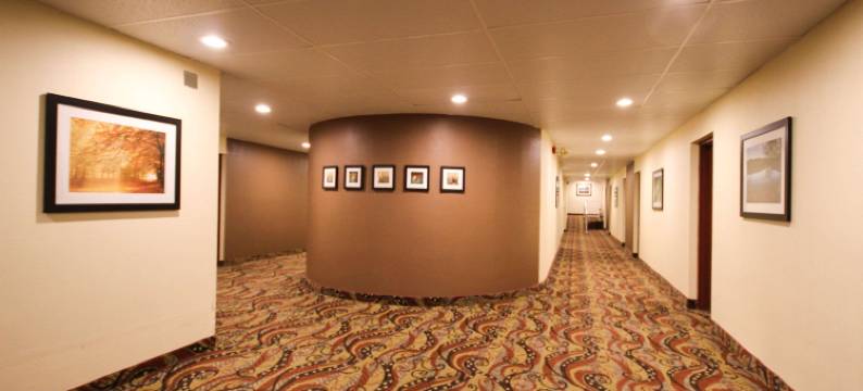 凯艺酒店(Quality Inn)图片