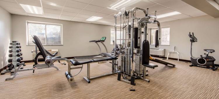 新堡凯艺套房酒店(Quality Inn & Suites New Castle)图片