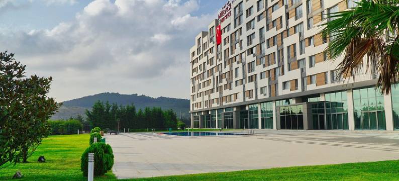 伊斯坦布尔亚洲机场奇迹水疗酒店(Miracle Istanbul Asia Airport Hotel & Spa)图片