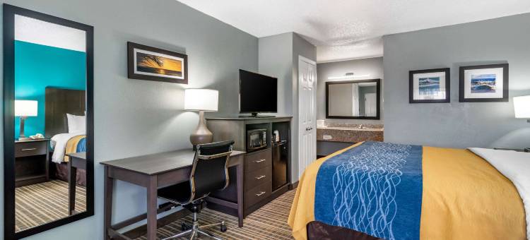 太阳城中心坦帕南舒适酒店(Comfort Inn Sun City Center - Ruskin - Tampa South)图片