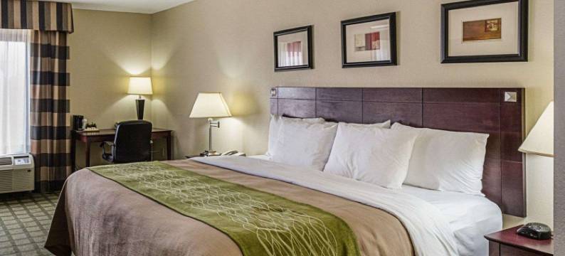 西公园西南高速公路舒适酒店及套房(Comfort Inn Southwest Fwy at Westpark)图片