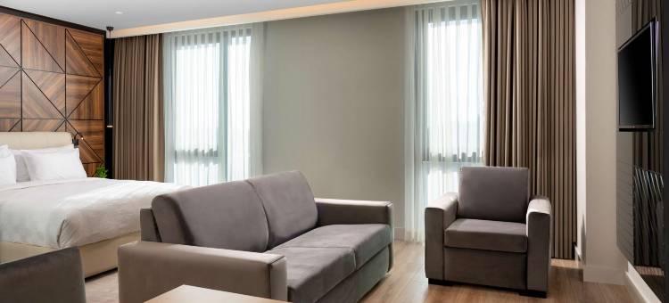 萨卡里亚丽笙蓝标酒店(Radisson Blu Hotel, Sakarya)图片