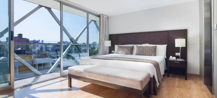 欧洲之星套房酒店(Exe Suites Reforma)图片