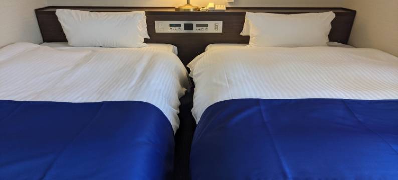 Ichinomiya City Hotel图片