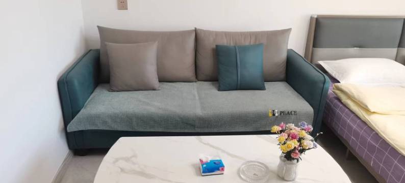 绿葡萄公寓(金河路分店)图片