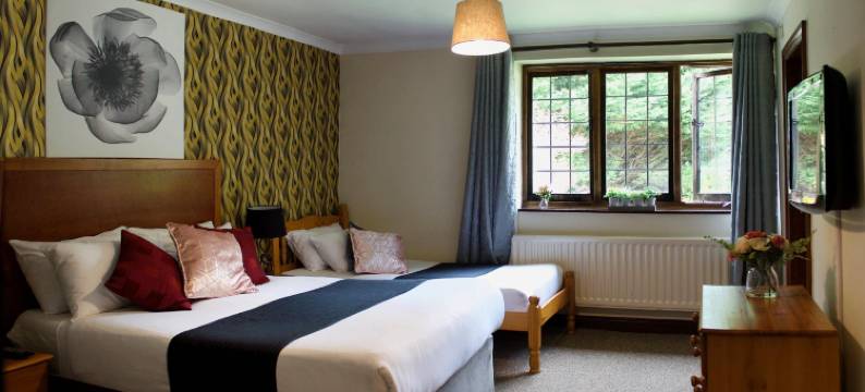 利特尔福克斯酒店(Little Foxes Hotel & Gatwick Airport Parking)图片