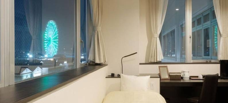 临空高级酒店(The Premium Hotel in Rinku)图片