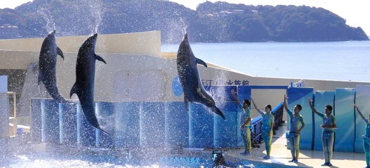 深呼吸酒店(Breath Hotel)图片