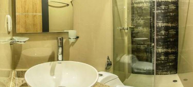 Hotel San Pedro Pitalito图片