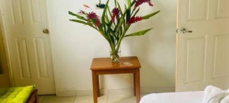 安娜玛丽酒店(Hotel Ana Mary)图片