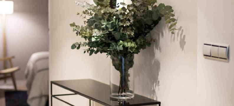 你的马德里公寓(U-Sense Madrid Santa Ana)图片