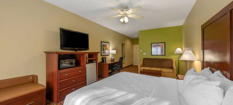 加兹登贝斯特韦斯特优质套房酒店(Best Western Plus Gadsden Hotel  Suites)图片