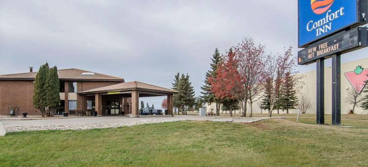 舒适酒店(Comfort Inn)图片