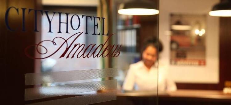 艾玛迪斯城市酒店(Cityhotel Amadeus)图片
