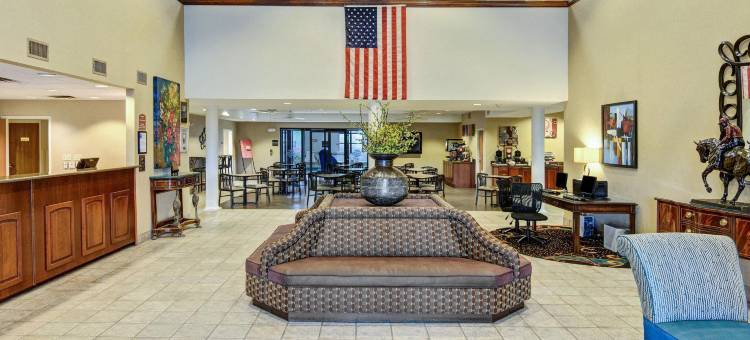温泉城中城舒适套房酒店(Comfort Inn & Suites Hot Springs Midtown)图片