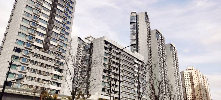崇明禅意小院陆家嘴轻奢雅居房东(桃林路分店)图片