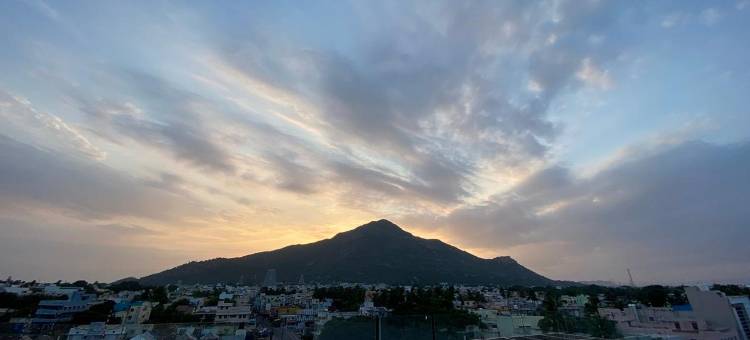 阿莫哈酒店(Hotel Amoha)图片