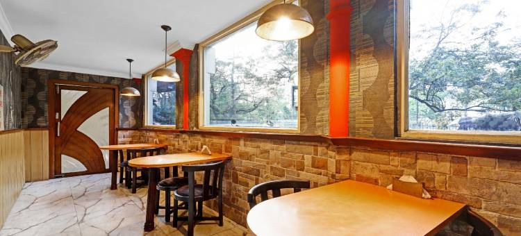 Treebo 阿波罗(Treebo Apollo)图片