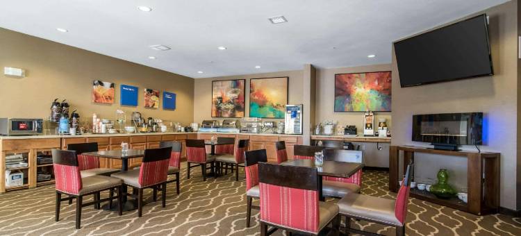 阿巴拉钦/宾汉顿西 17 号公路舒适酒店(Comfort Inn Apalachin / Binghamton W Route 17)图片