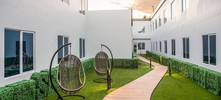 瑞士贝尔酒店比亚克金鹰鸟(Swiss-Belhotel Cendrawasih, Biak)图片