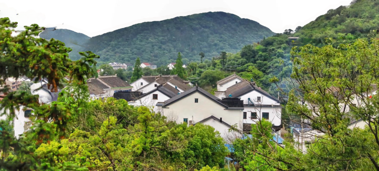 竹里山居·私房菜·民宿(树山店)图片