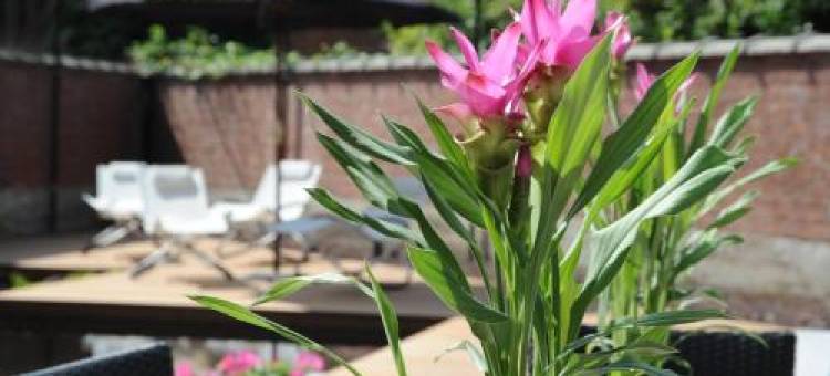 萨派瑞斯魅力别墅酒店(Charmehotel Villa Saporis)图片