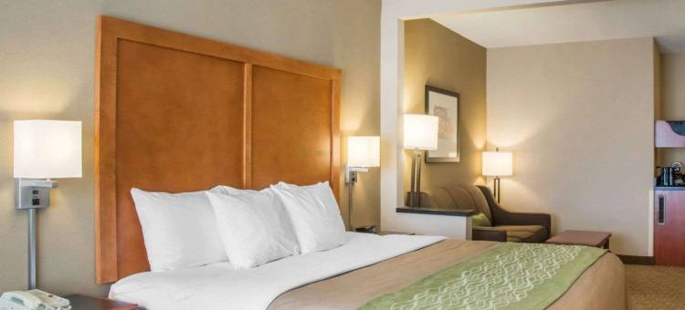 西切斯特-北辛辛那提舒适套房酒店(Comfort Inn & Suites West Chester - North Cincinnati)图片