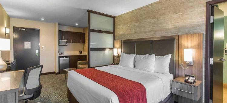 舒适酒店及套房-机场北(Comfort Inn & Suites Airport North)图片