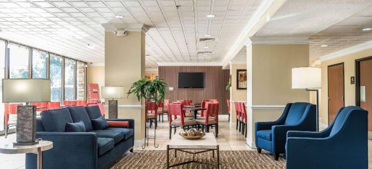 舒适酒店-克兰伯里镇游乐园(Comfort Inn Cranberry Twp)图片