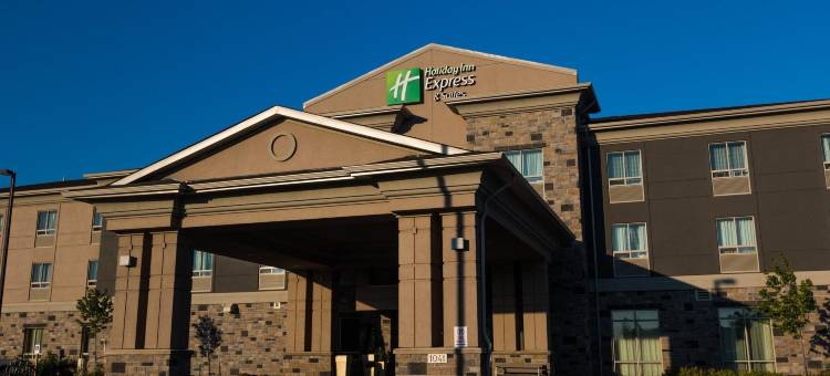 雷霆湾智选假日酒店(Holiday Inn Express & Suites THUNDER BAY by IHG)图片