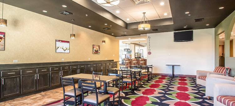 克拉丽奥酒店-埃尔姆赫斯特-橡树溪近I-88-I-290-I-294(Clarion Inn Elmhurst - Oak Brook Near I-88 I-290 I-294)图片