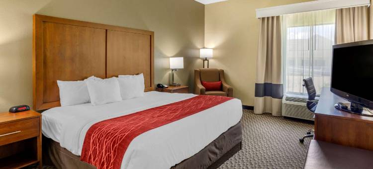 韦恩斯伯勒舒适酒店(Comfort Inn)图片