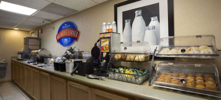 海斯温德姆呗盟套房酒店(Baymont by Wyndham Hays)图片