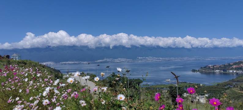 东岸房东公寓(映雪路分店)图片