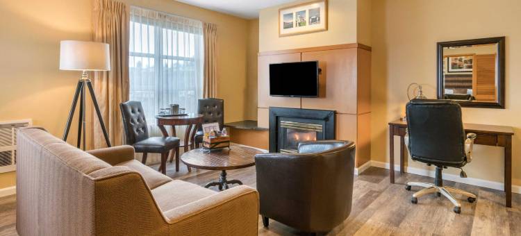 舒适套房酒店-麦迪逊北部(Comfort Inn & Suites Madison North)图片